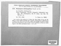 Image Associated With the Occurence